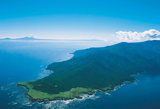 �C�̃C���[�W